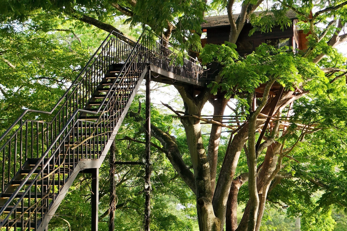 Casa en el árbol ZELVA