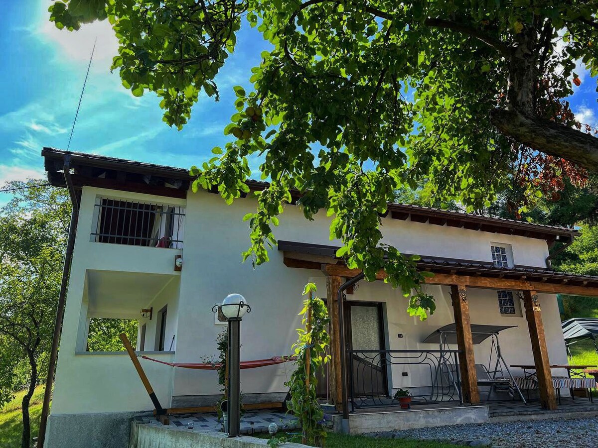 Casa Chirica Borsa Maramures