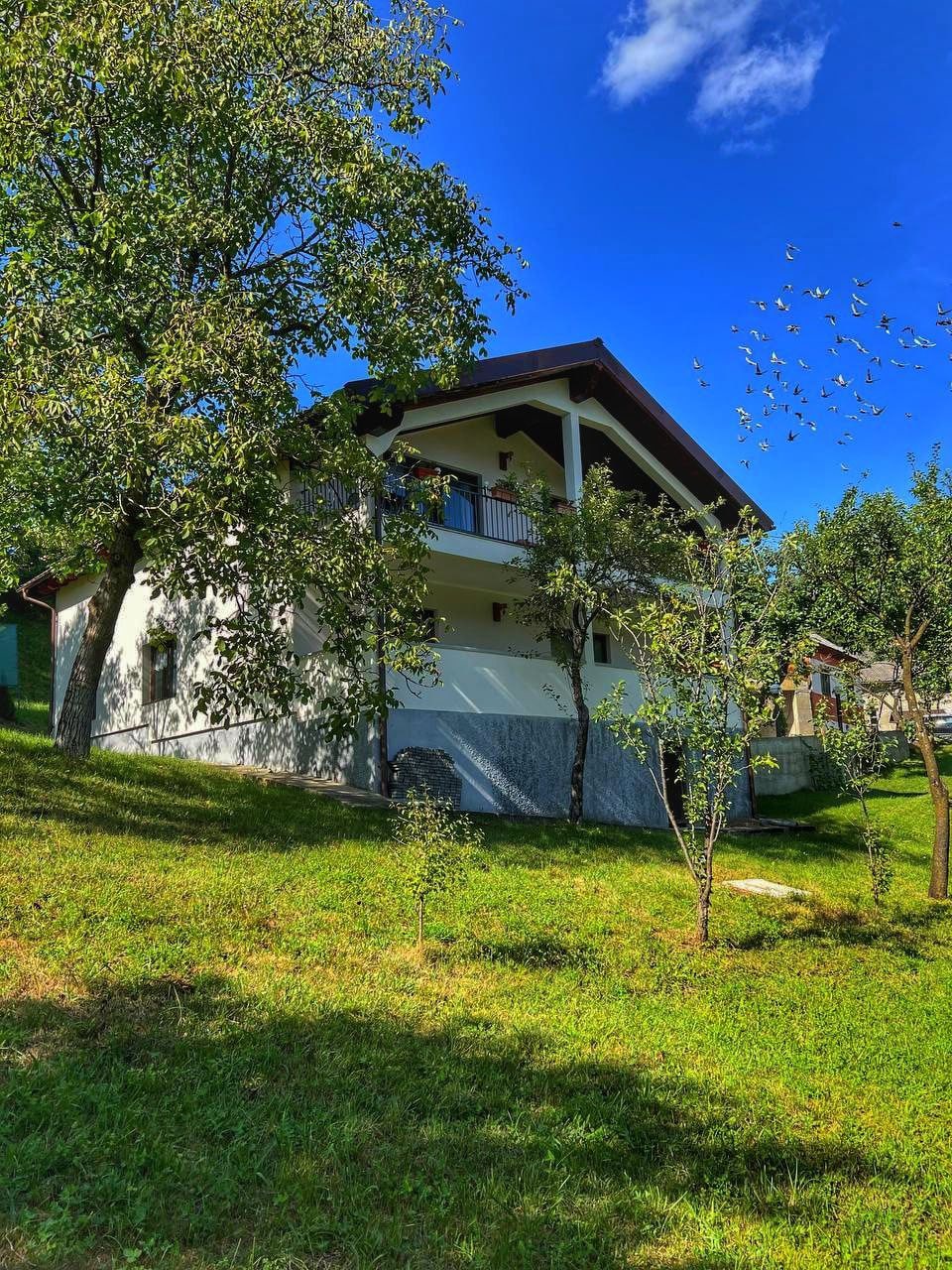 Casa Chirica Borsa Maramures