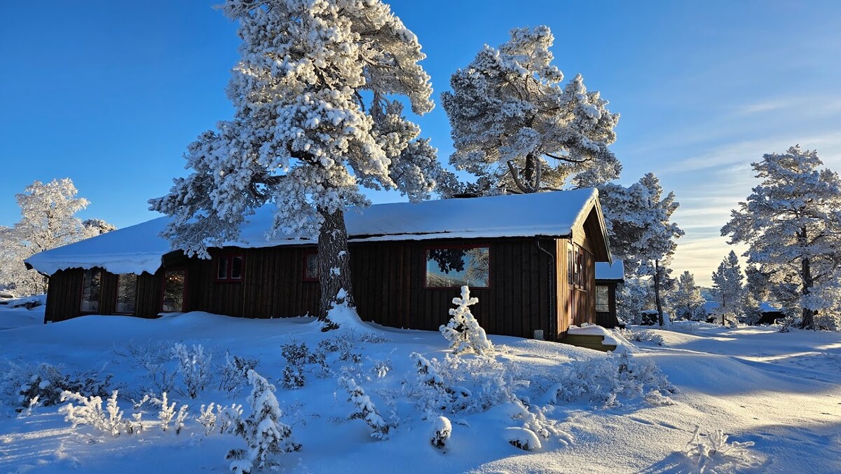 Rondane Furusjøen附近的绝佳小木屋