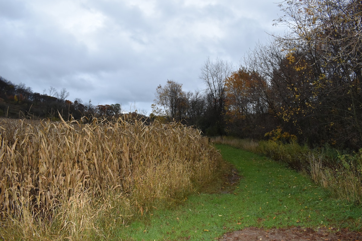 Cannon Valley Farmstead