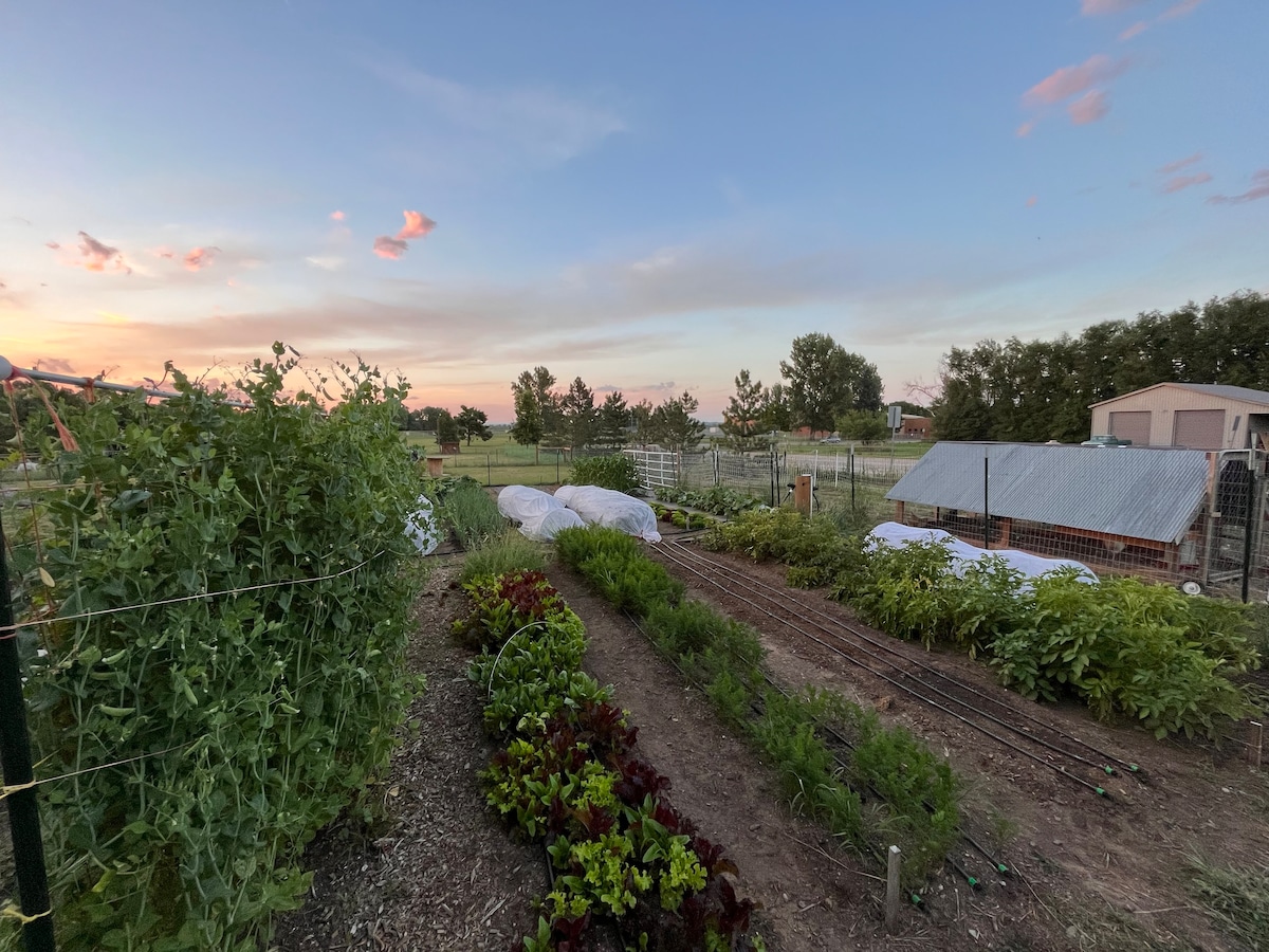 Cottage on Acreage in Ft Collins