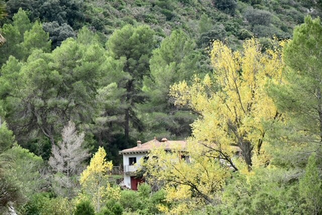 Mountain and river retreat