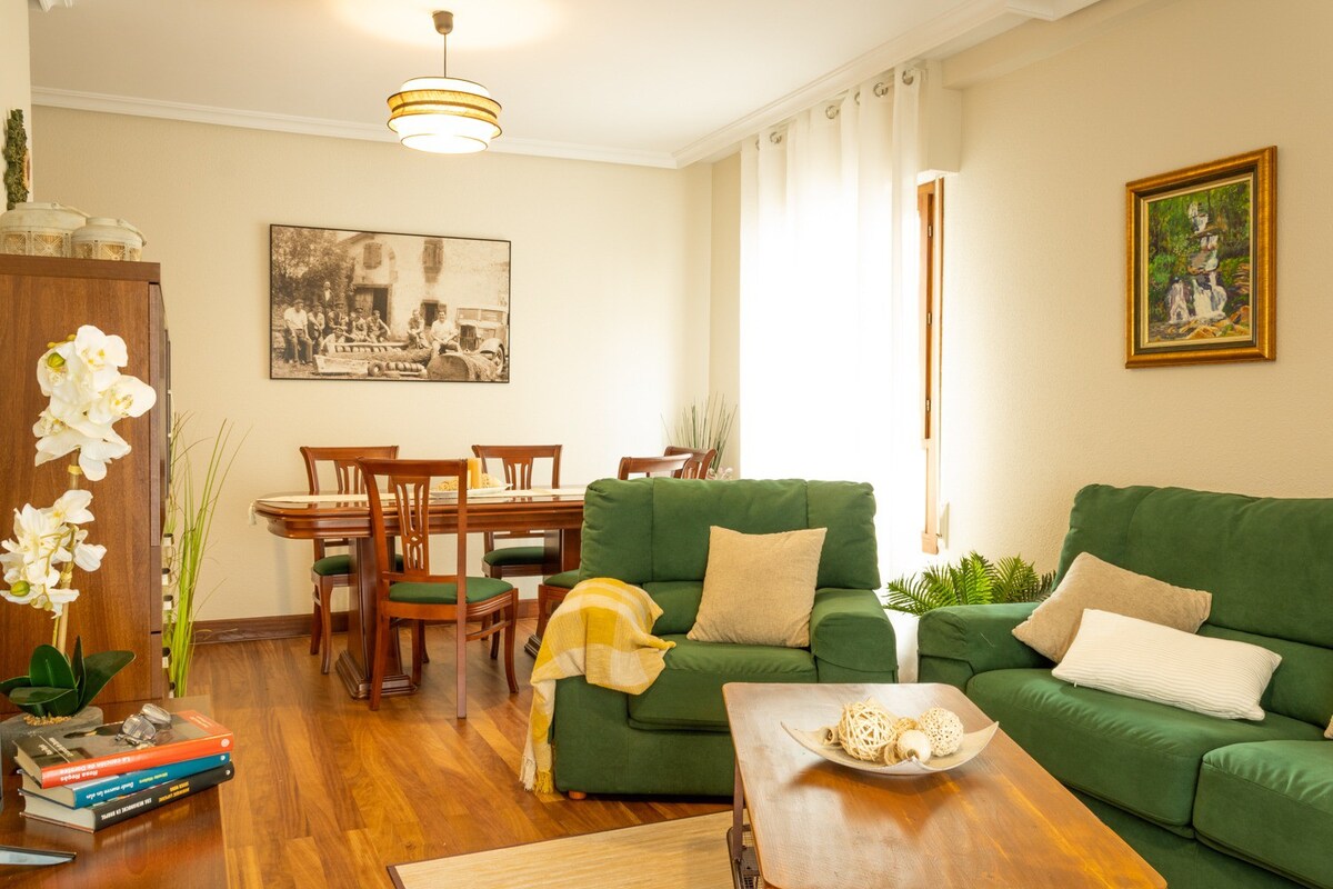 Apartamento centro de Elizondo