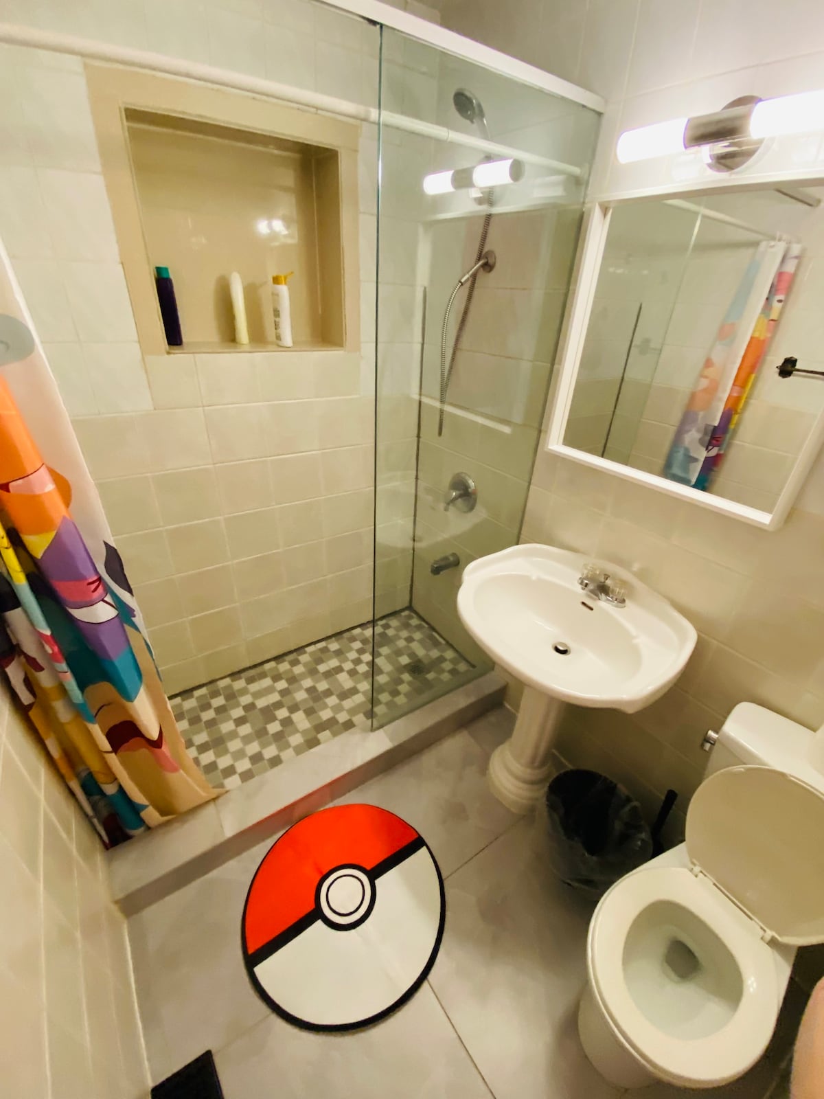 多伦多市中心Pokemon独立房间