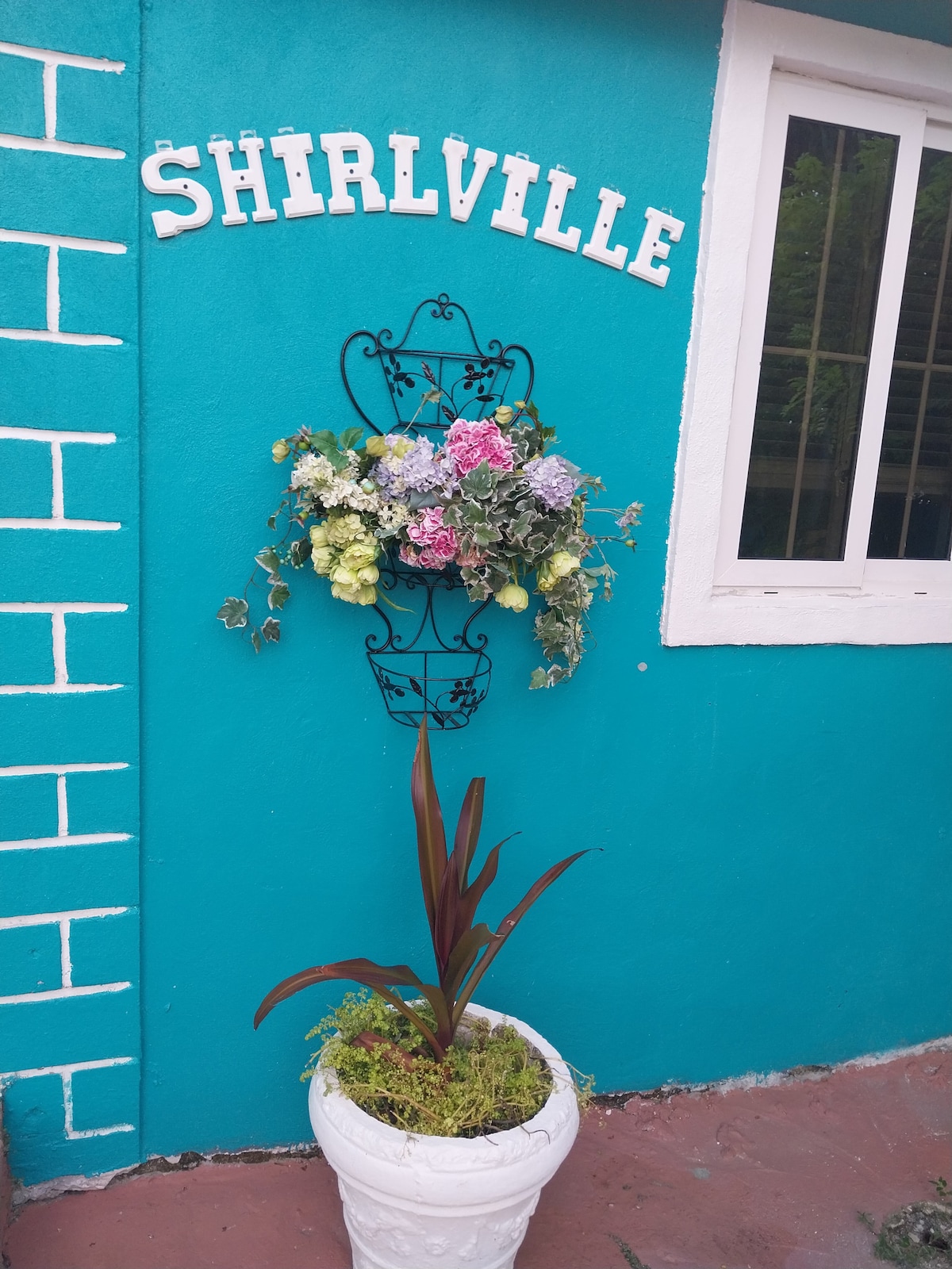 Welcome to Shirlville!