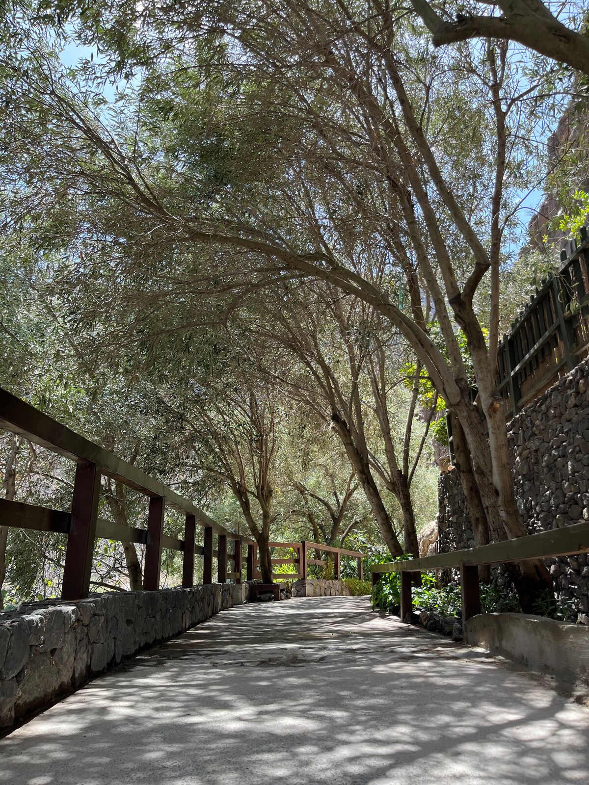 Casa rural Guayadeque Ca 'Juani