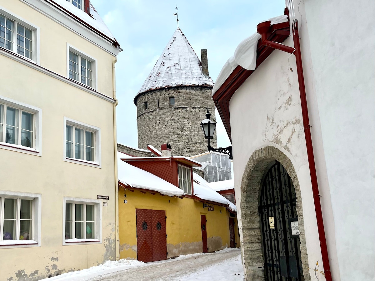 Luxury apartment in the heart of Old Town