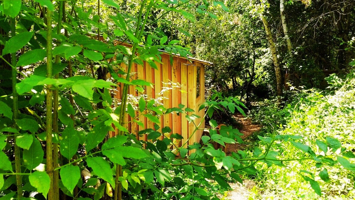 refuge dans un parc forestier