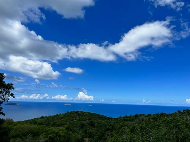 夏洛特阿马利亚 (Charlotte Amalie)的民宿