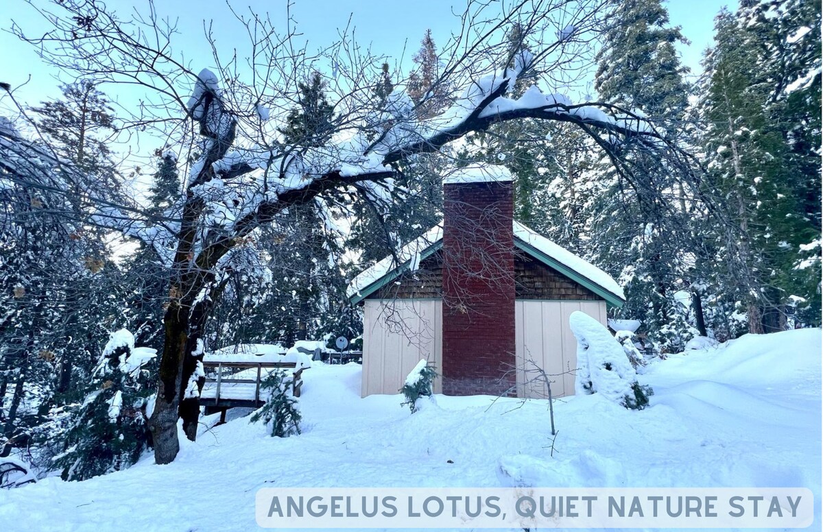 Angelus Lotus, quiet nature secluded stay