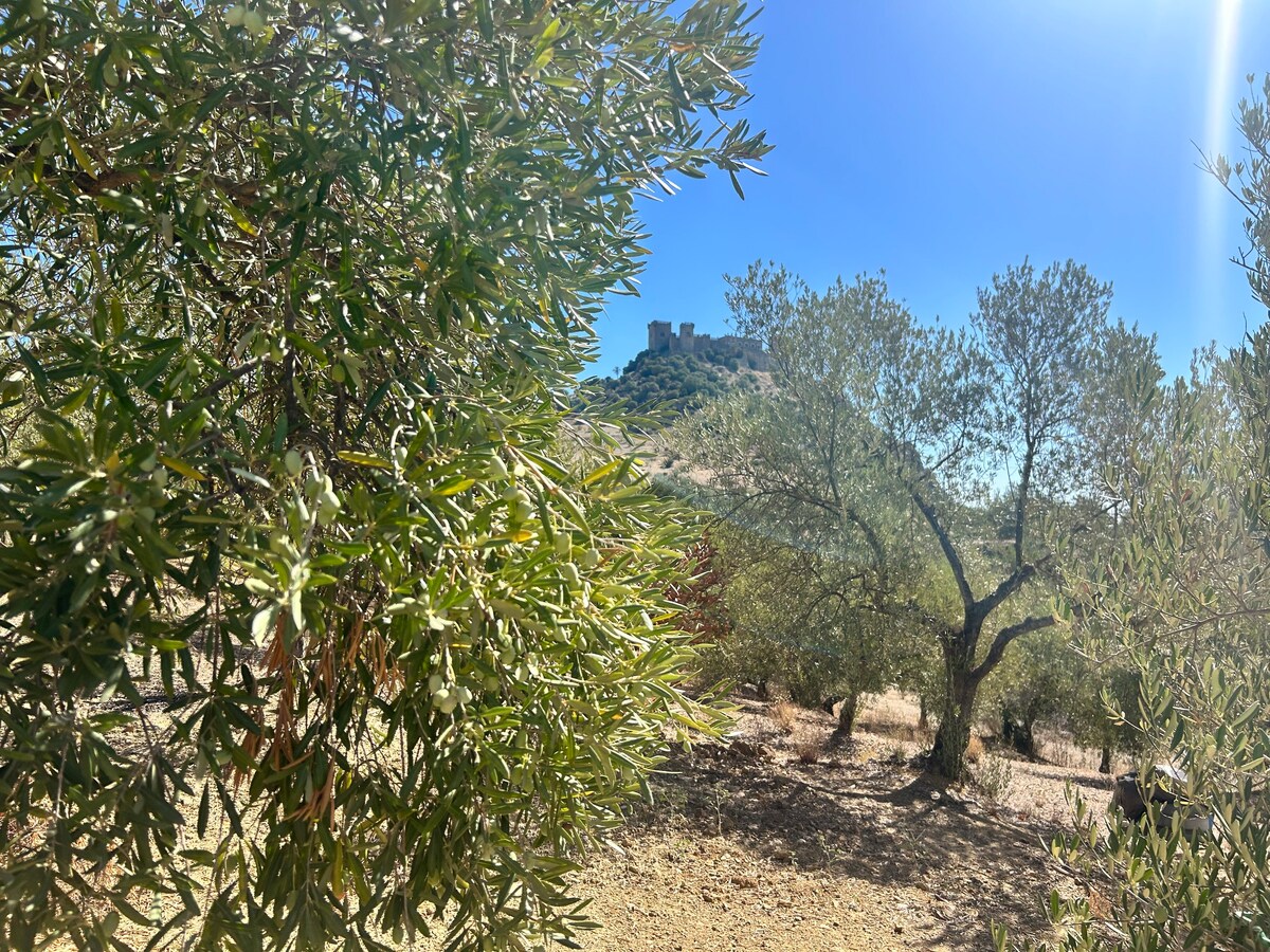 Olivar con vistas al castillo de Juego de Tronos