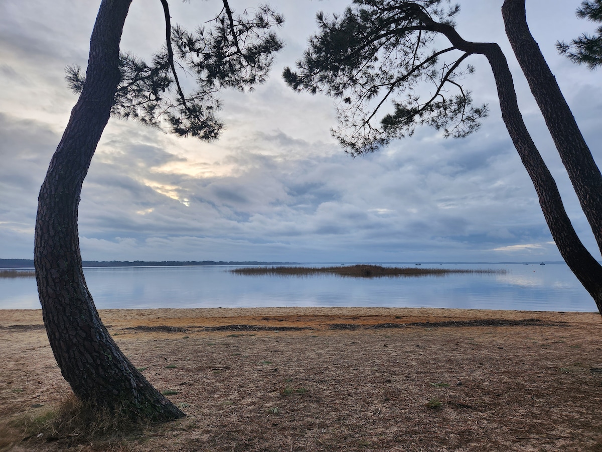 Villafloryanne chbre les landes