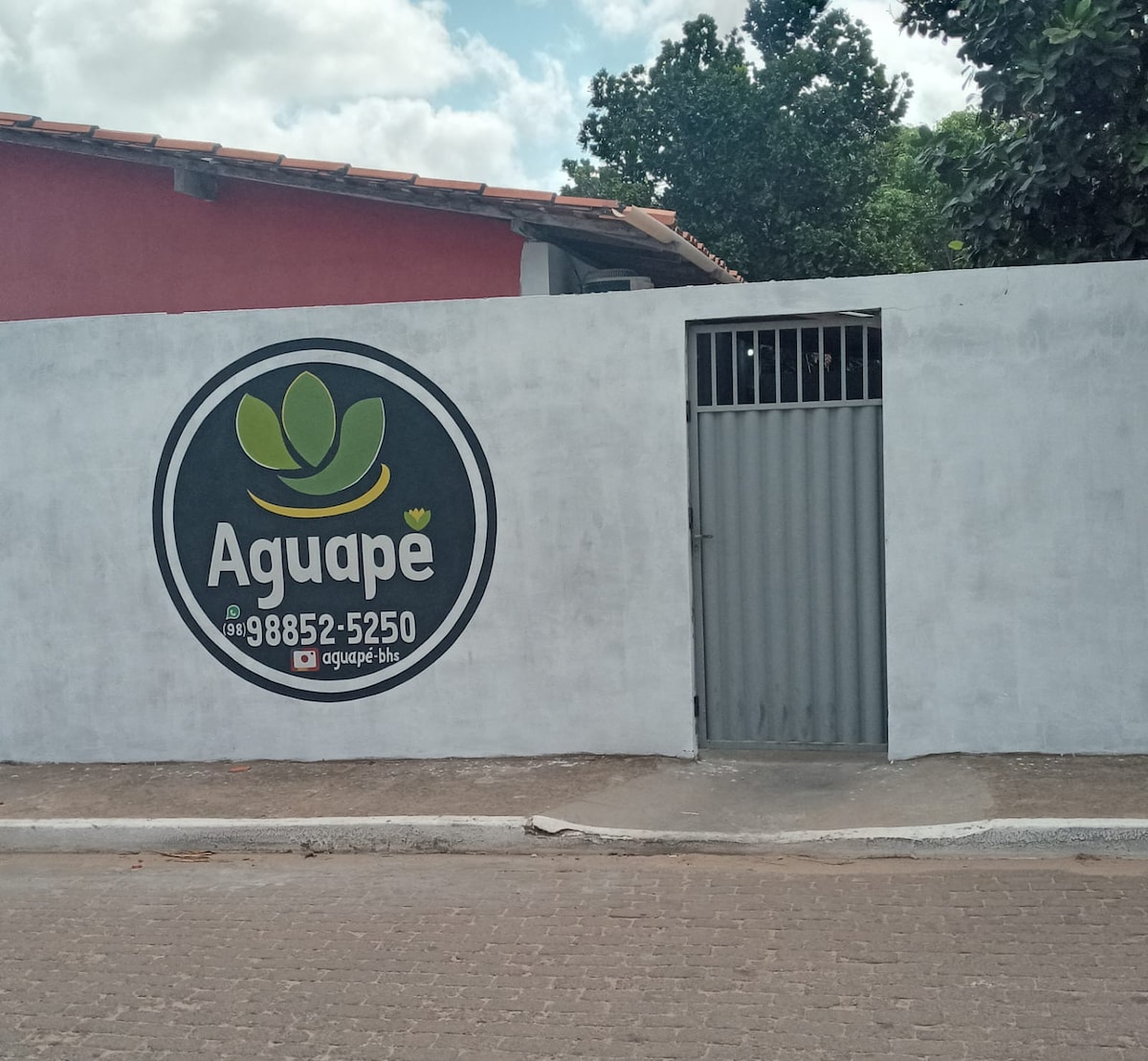 aguapé2