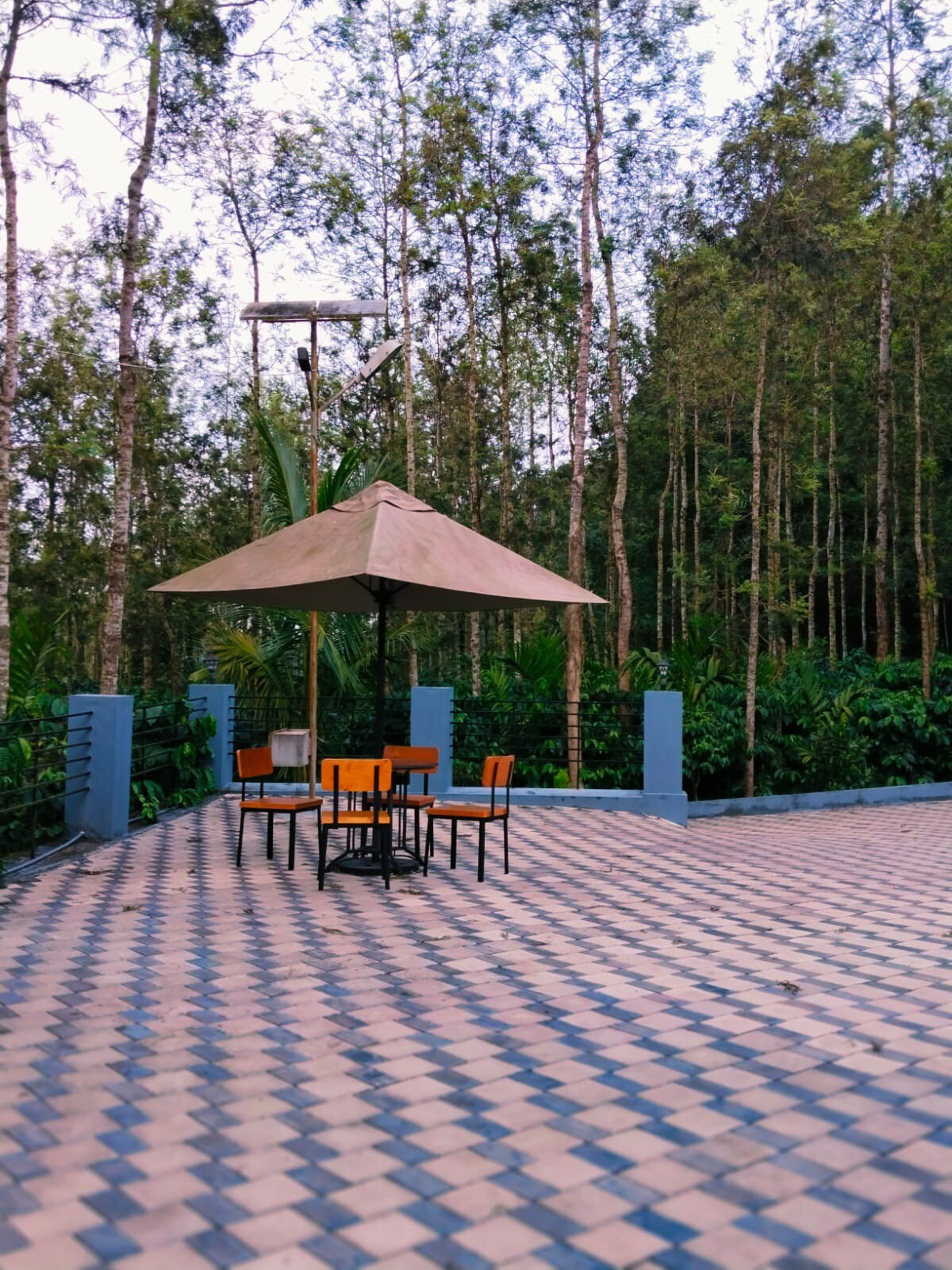 Estate stay in Chickmaglur