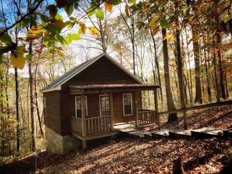 Hawk's Nest; Cozy Cabin w/Hot Tub