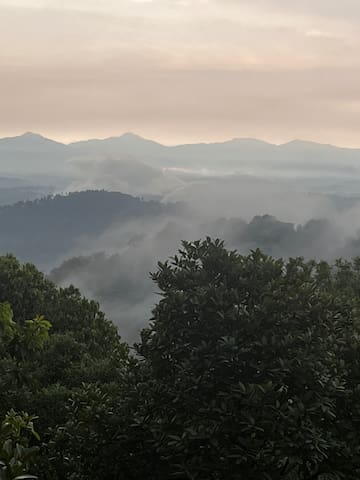 马蒂科里(Madikeri)的民宿