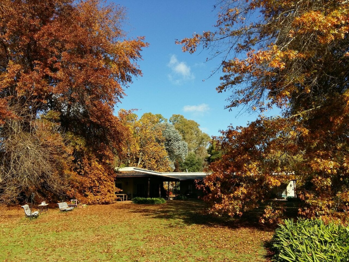 Casa de Campo el Ñandú con gran jardín y pileta