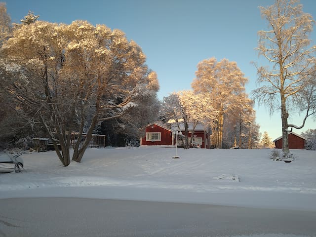 罗瓦涅米(Rovaniemi)的民宿