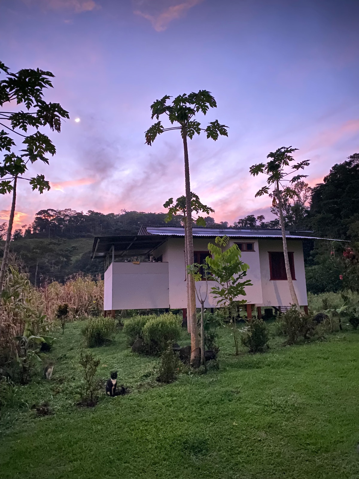 Casa Viko- waterfall, yoga deck, restaurant, river