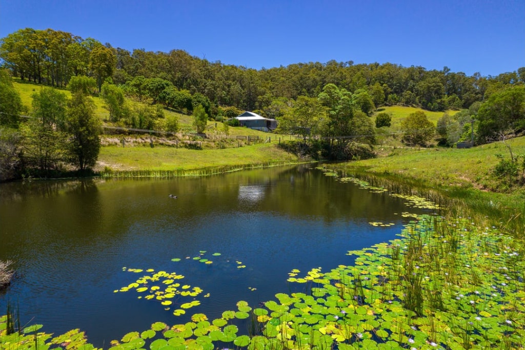 Hinterland Hideaway Farmstay - 136 Acres of Bliss