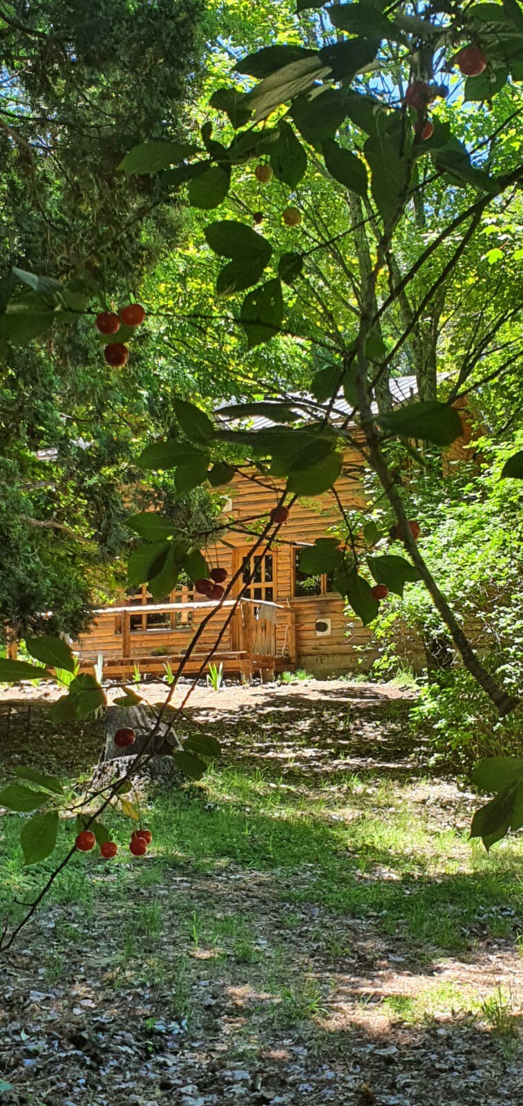 Cabaña de madera Tilo a metros del Cajón del Azul