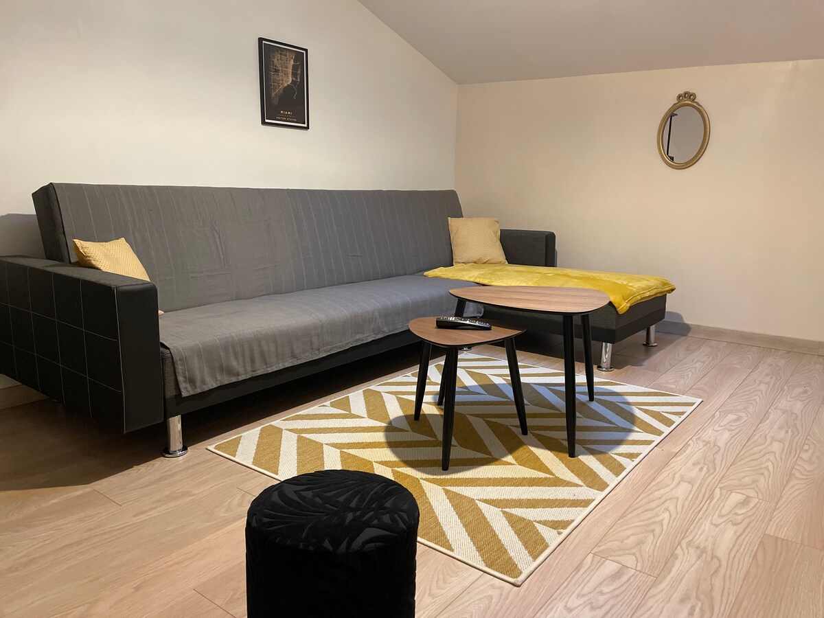 Duplex Lindor / parking gratuit / wifi