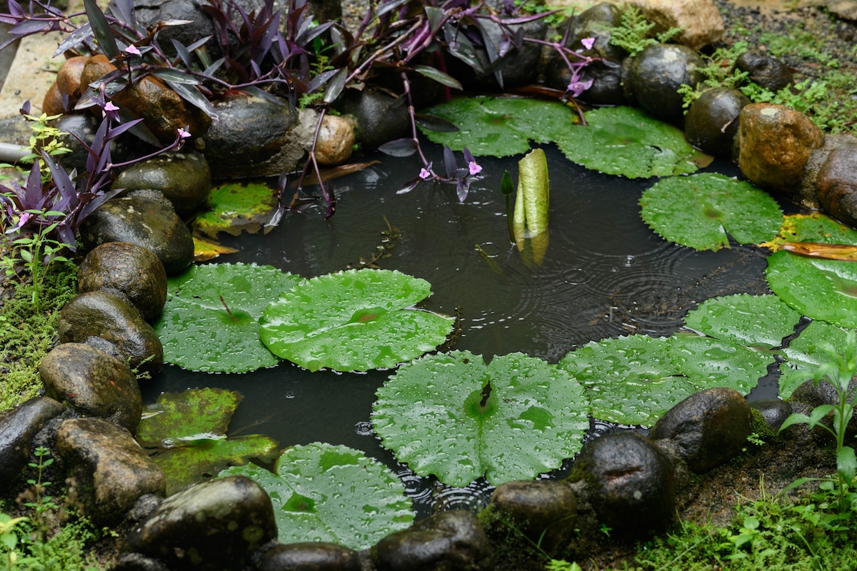 艾琳的家