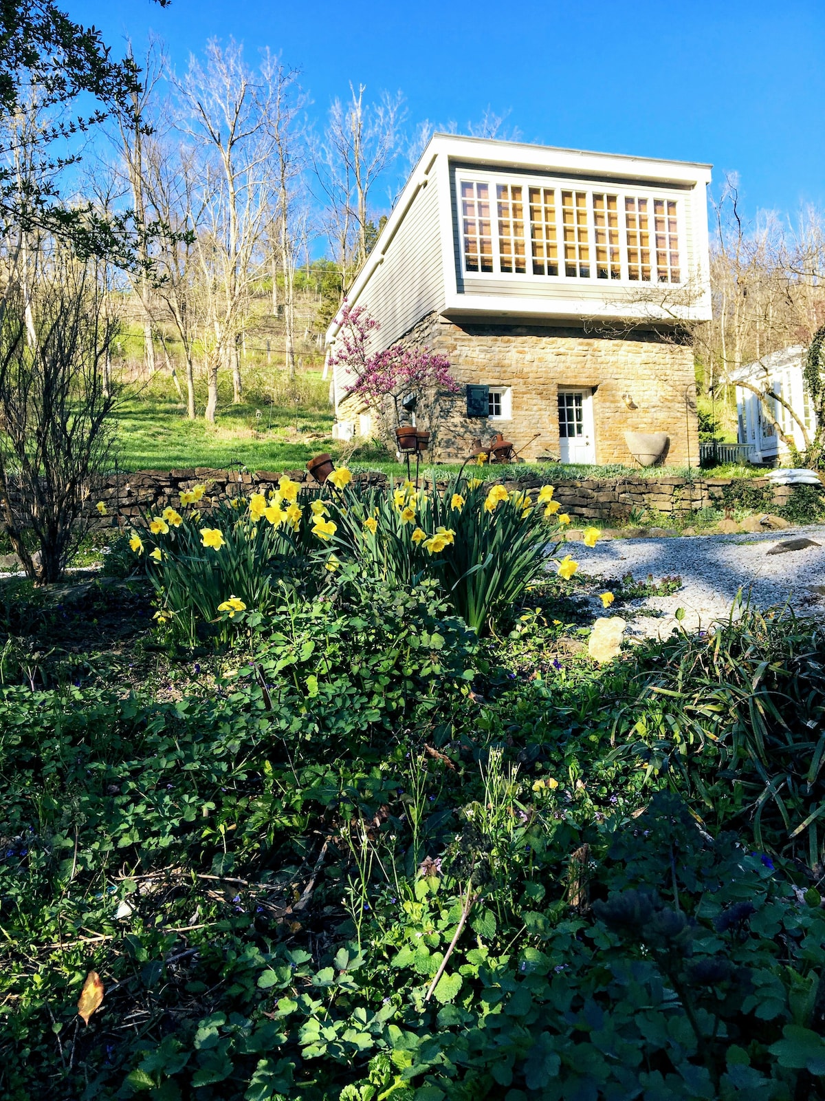 Guest House Monte Cassino Vineyards