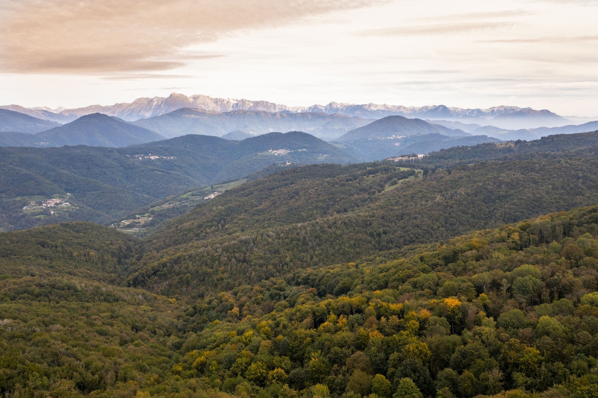 Una stanza nella natura di Tribil - Friland