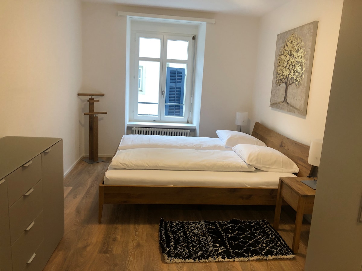 Fantastic 2BR flat close to Paradeplatz (Canal2)