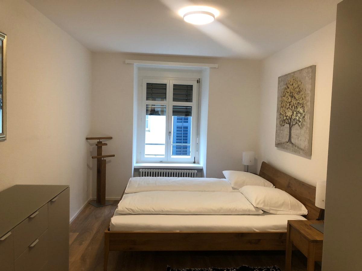 Fantastic 2BR flat close to Paradeplatz (Canal2)