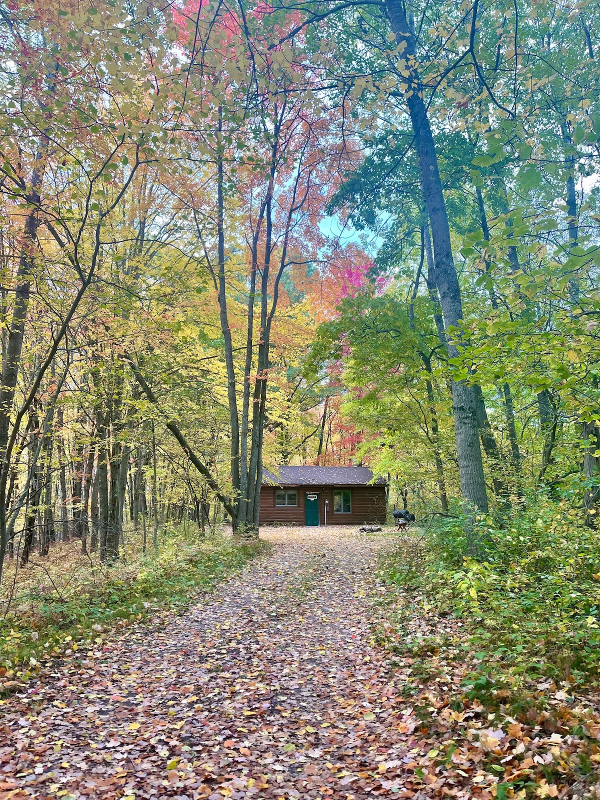 Cabin in Manistee National Forest near PM River