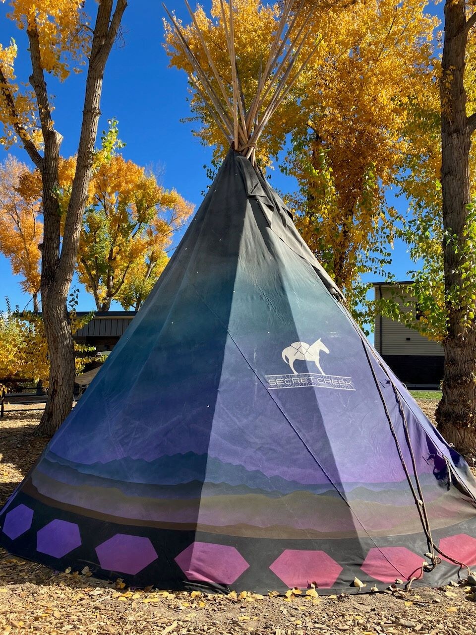 20' Tipi