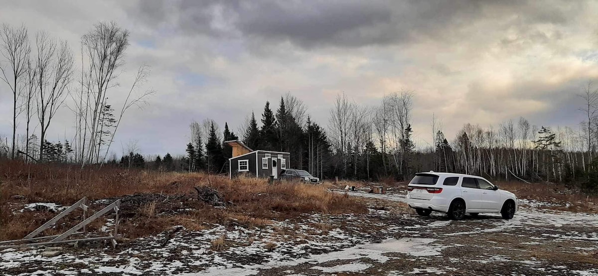 Tiny House Skyline Escape