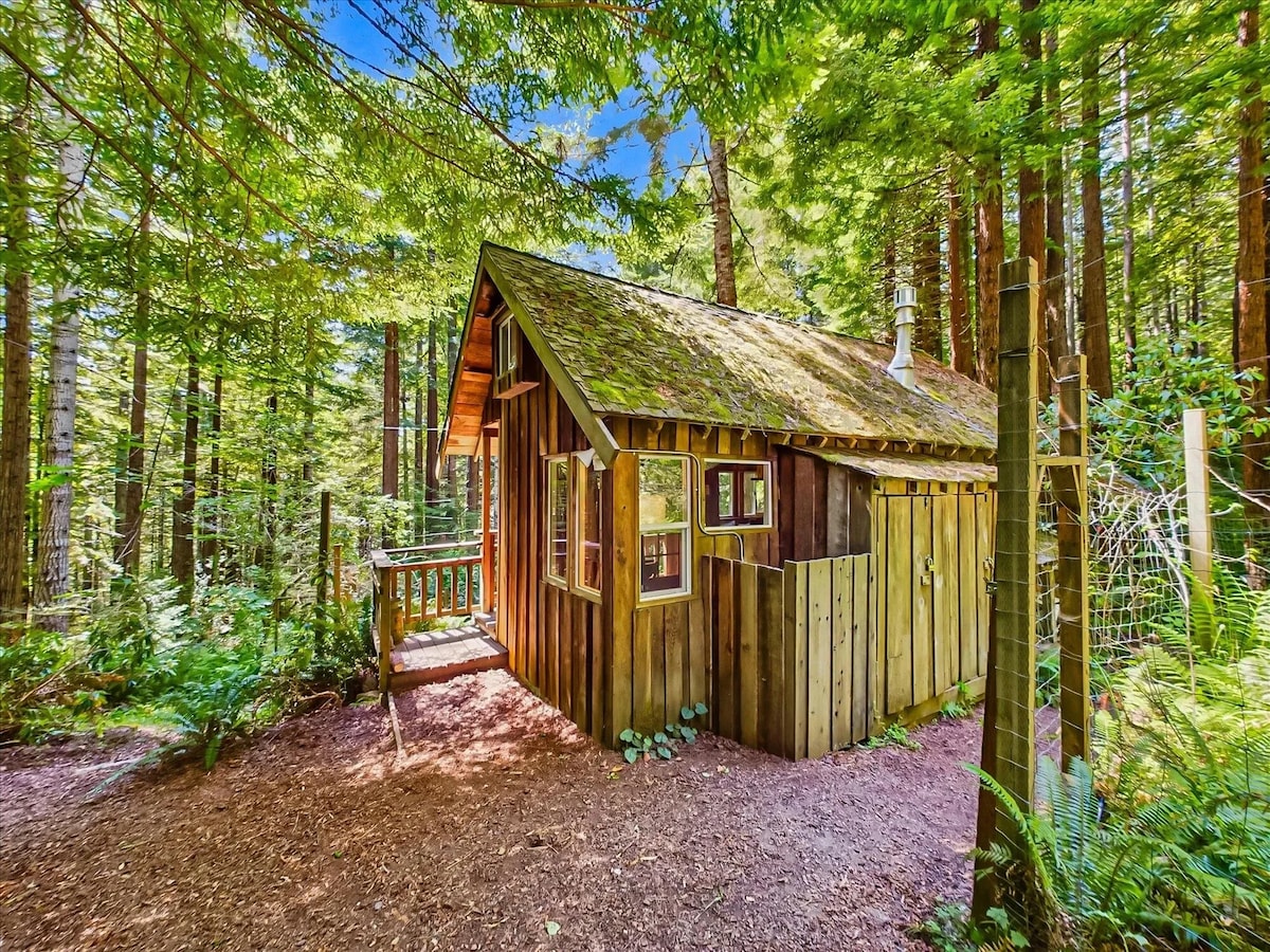 双人小木屋和树屋
