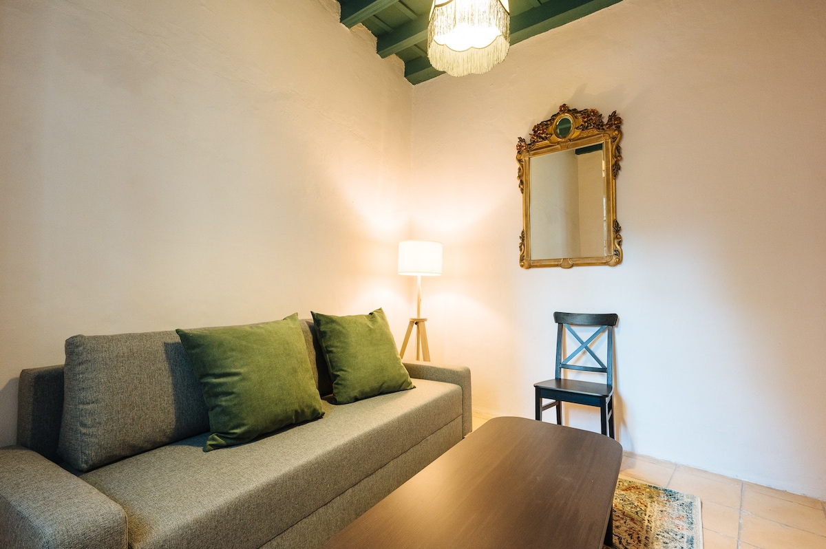 Independent Beautiful House Seville City center PP