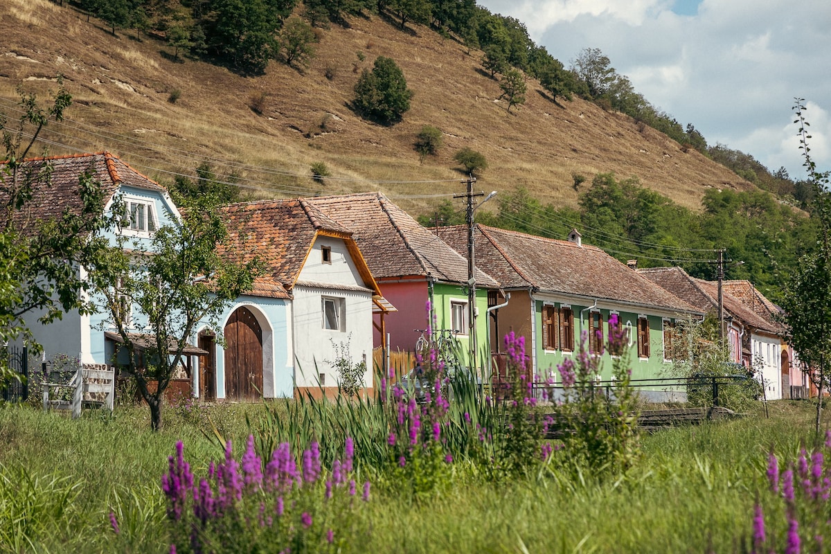 Valea Verde Retreat, Yard 4