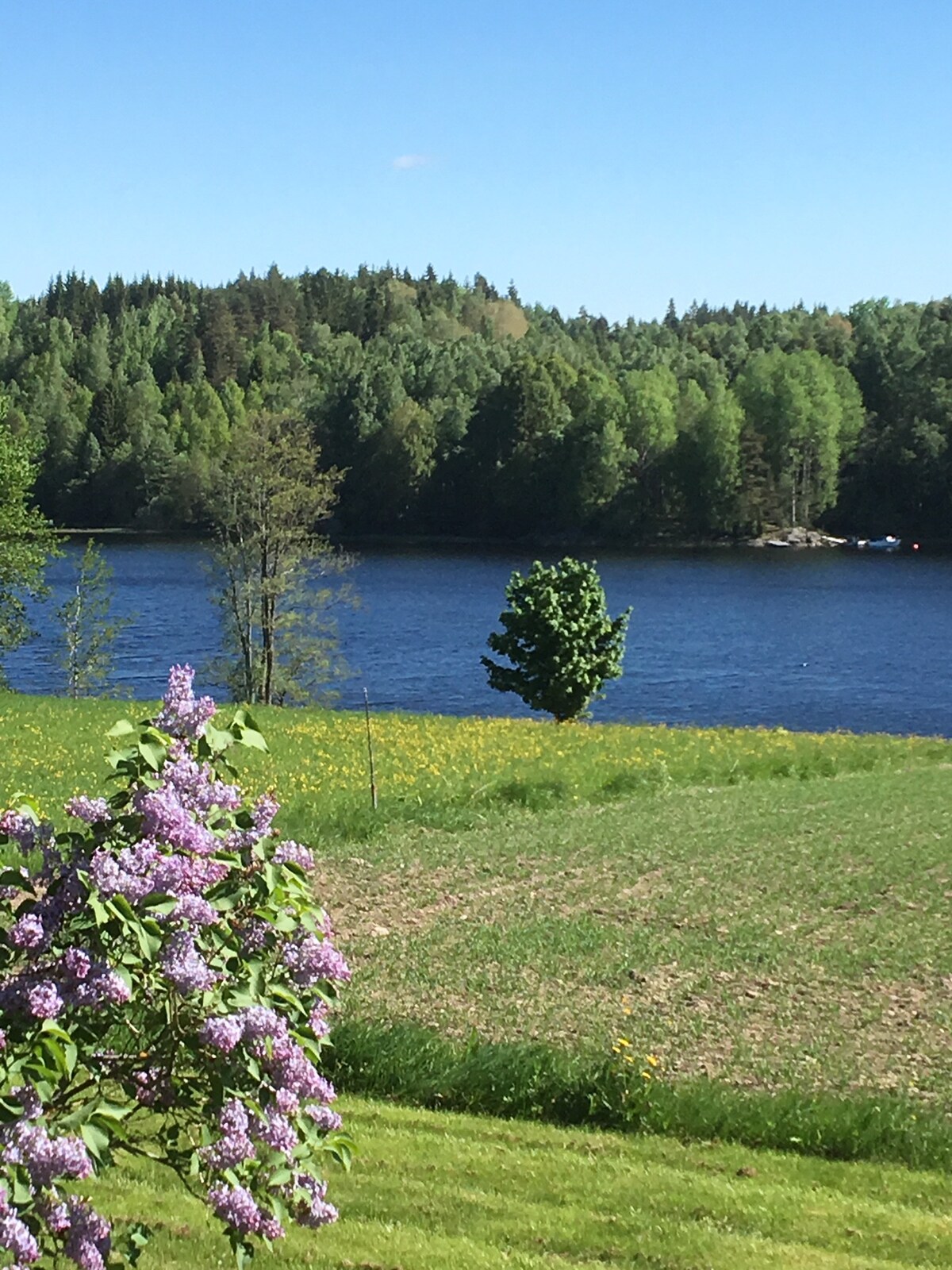 Elovsbyn Töcksfors Värmland