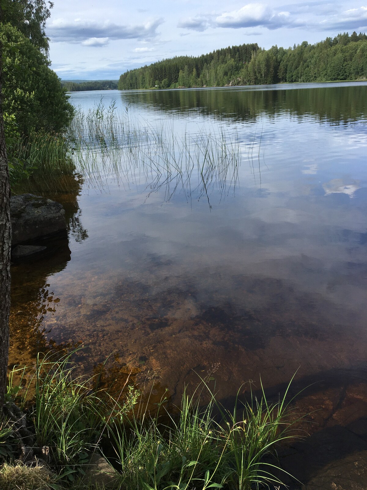 Elovsbyn Töcksfors Värmland