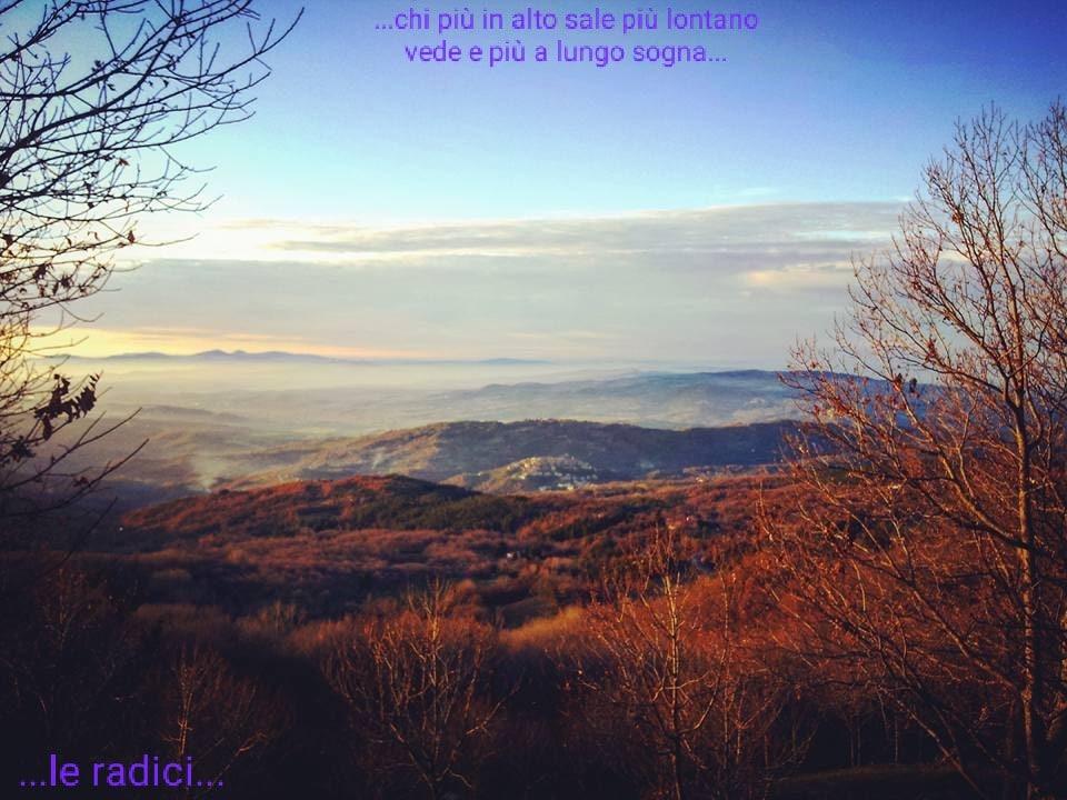 "luce d'amiata"mountain art farm