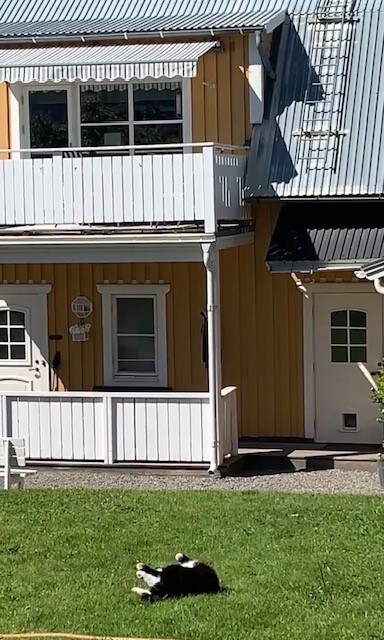 Lantlig och rymlig lägenhet nära Östersund