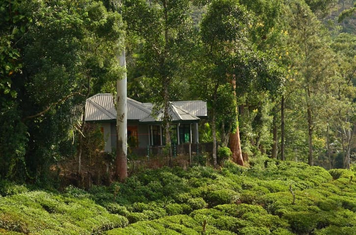 Bandarawela的民宿