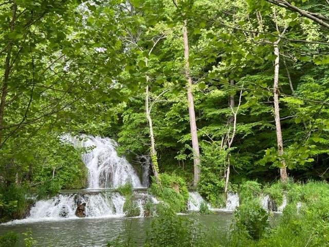 Beaverdam Falls, Top of the Rock