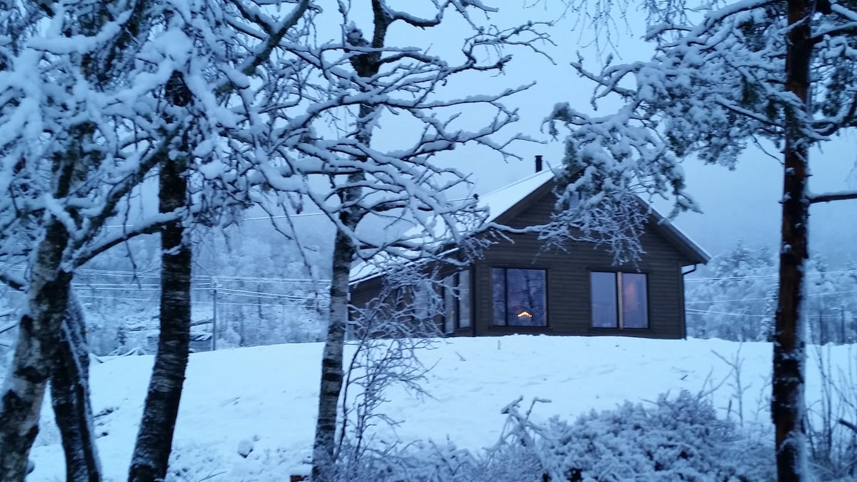 靠近钓鱼水和滑雪坡的漂亮小木屋