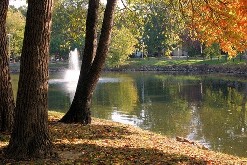 Cozy Home - Edwardsville Minutes from St. Louis