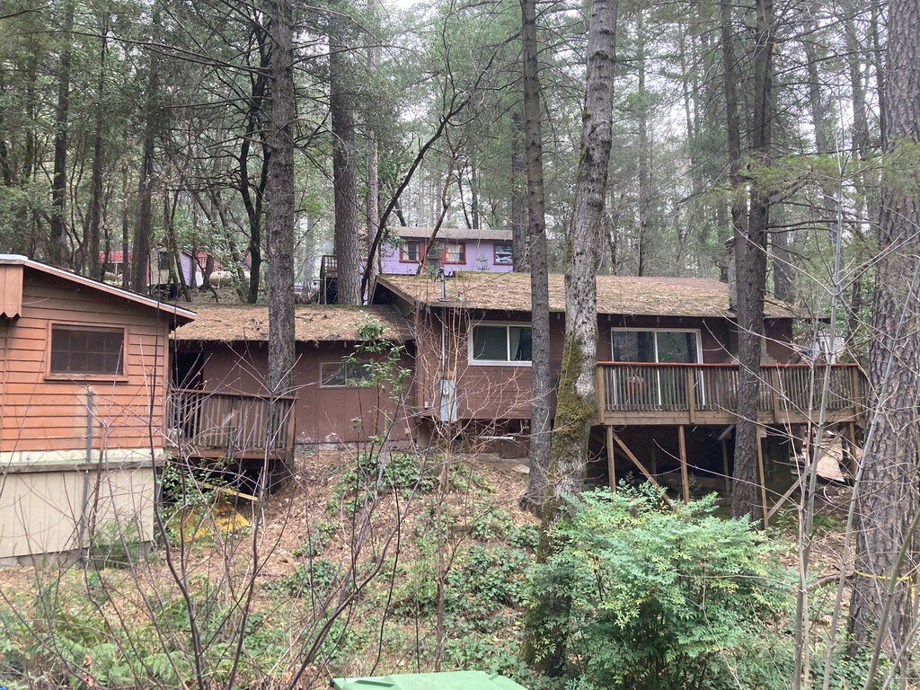 Rustic Cabin in the Woods