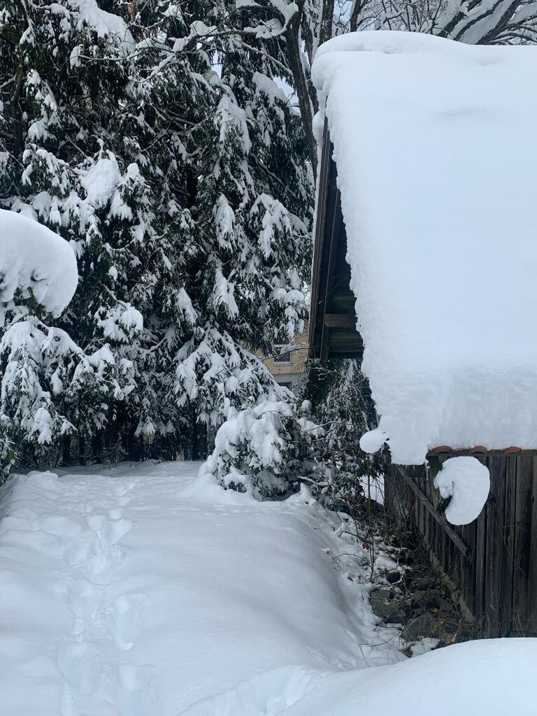 Waldlerhaus - Bayern - Bayerischer Wald