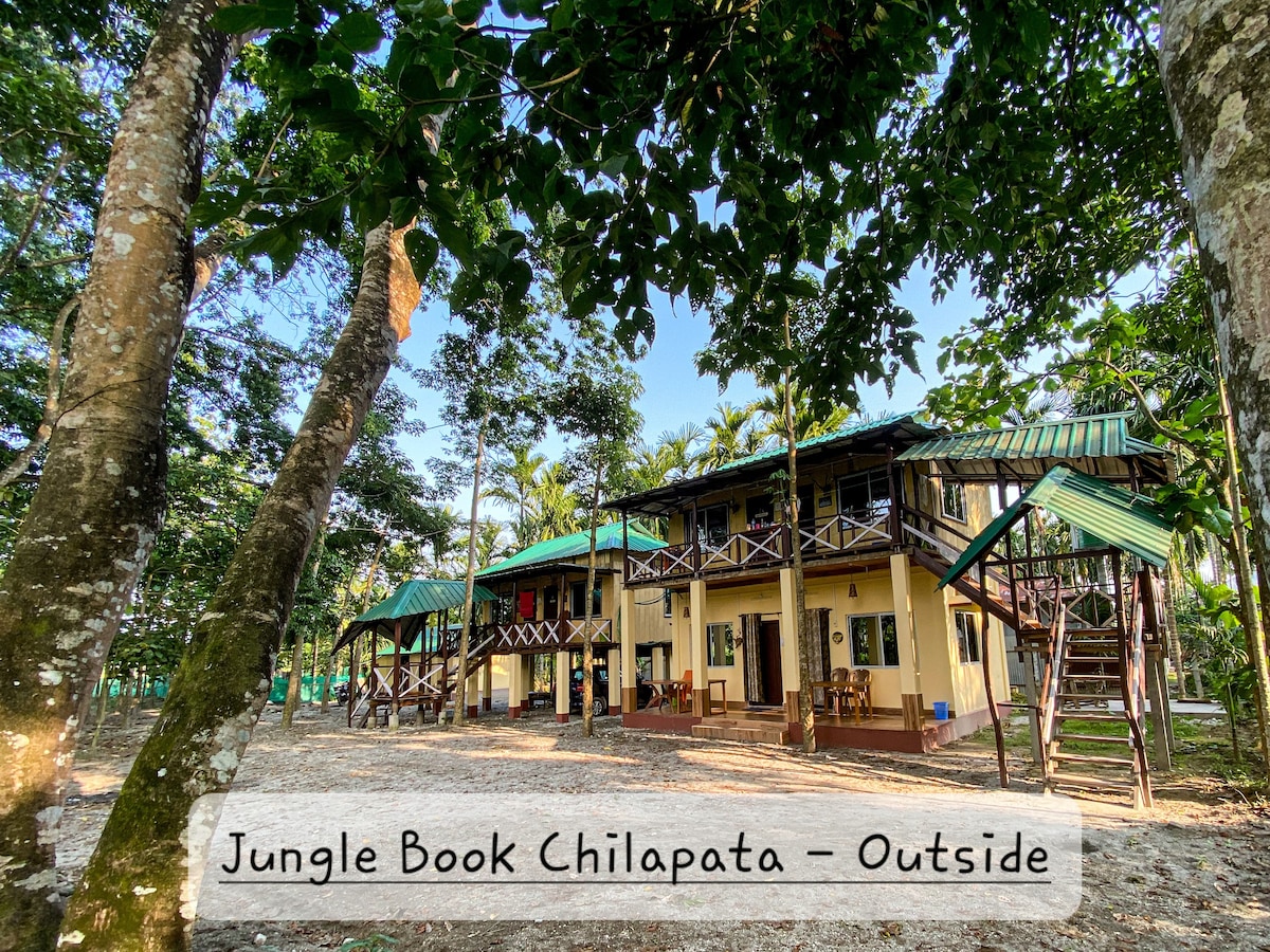 Jungle Book Chilapata, A Forest Homestay