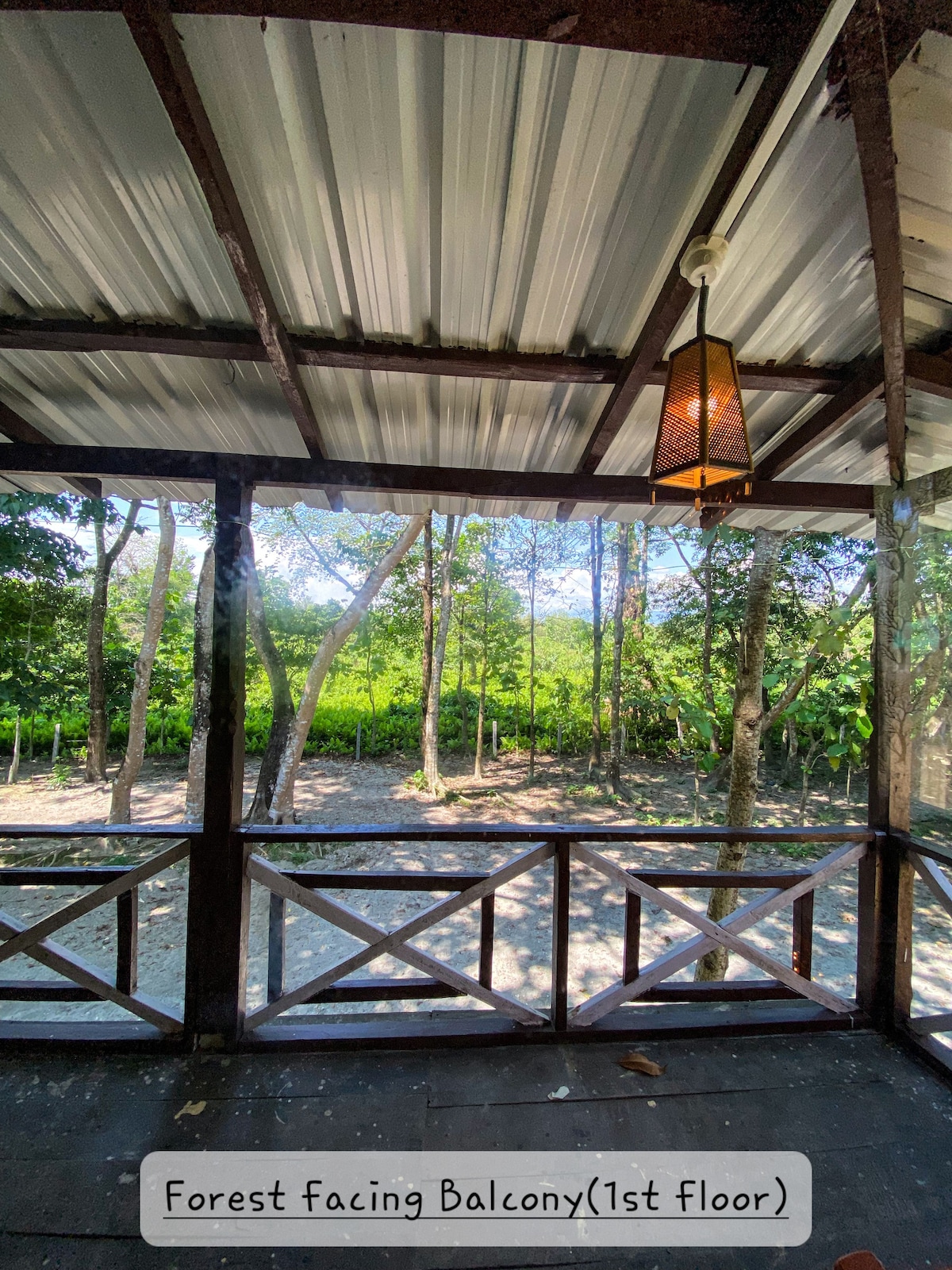 Jungle Book Chilapata, A Forest Homestay